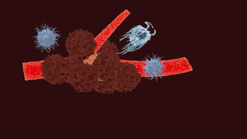 b2ad2193d70d.png