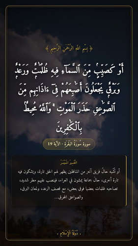 b22aae0efea7.jpg