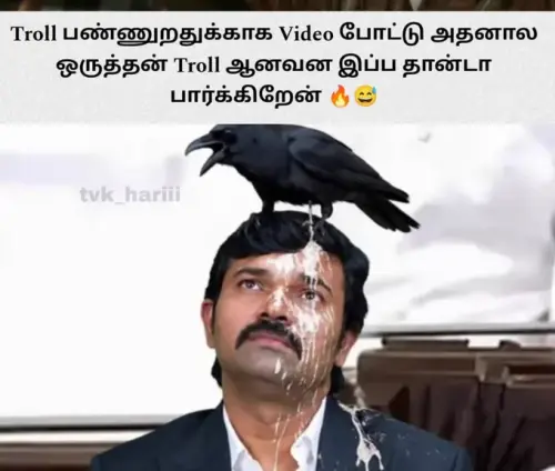 8cf2c3861c81.webp