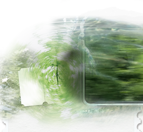 青草地 dingbu.png