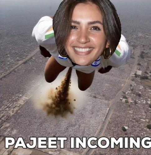 PRIYA INCOMING.jpg