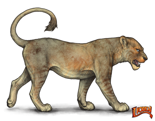 lioden wardrobe (1).png