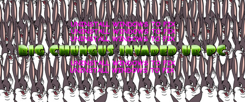 chungito.jpg