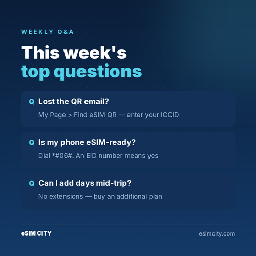 08 16 qna.2