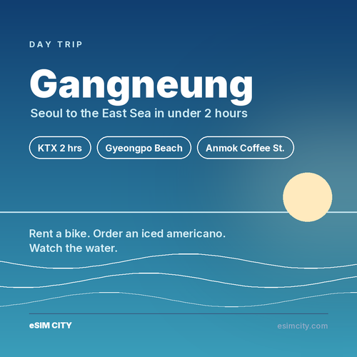 08 14 gangneung.2