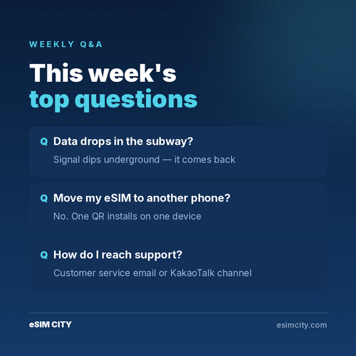 08 23 qna.2