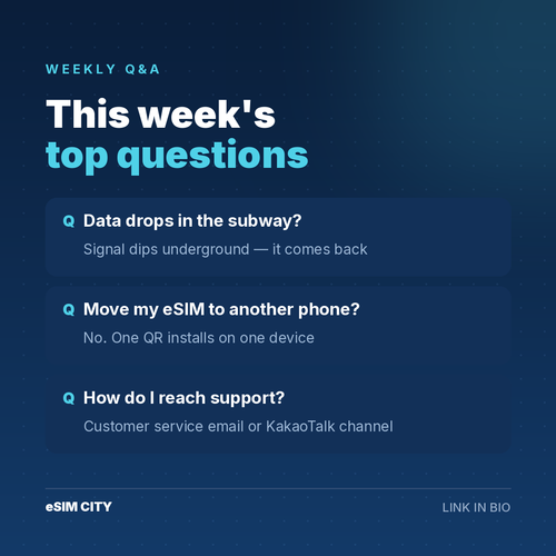 08 23 qna.2