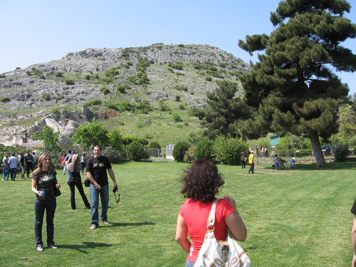 IMG 0130.jpg