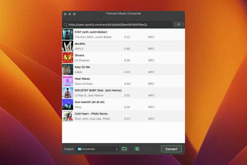 viwizard spotify music converter.png