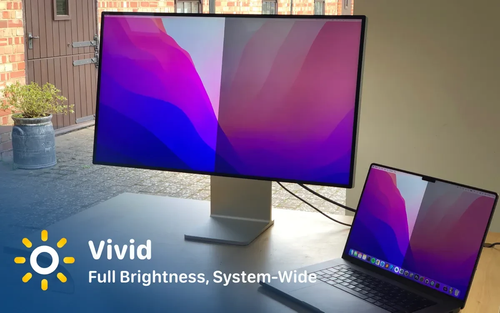 vivid.png