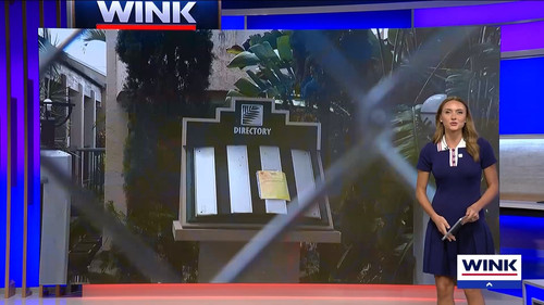 08.08 04.00.00 WINK News at 11 ᴺᵉʷ. Local and regional news..ts snapshot 32.33.600.jpg