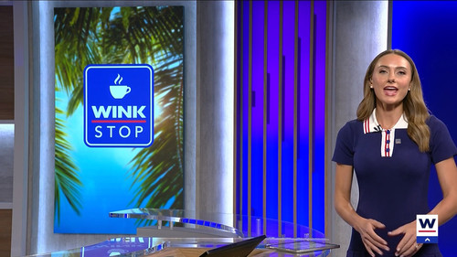 08.08 04.00.00 WINK News at 11 ᴺᵉʷ. Local and regional news..ts snapshot 34.12.009.jpg