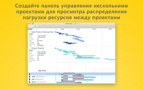 omniplan pro 4.png