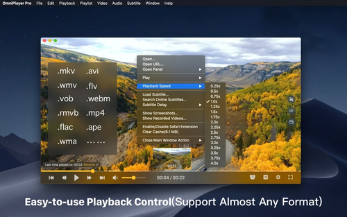 omniplayer mkv video player.png