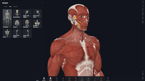 complete anatomy.png