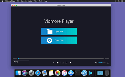 vidmore player.png