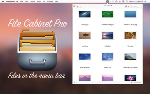 file cabinet pro.png