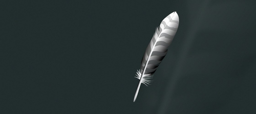 wing pro.png