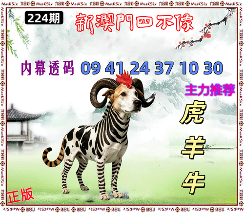 224.png