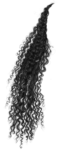 IMG 7953.png