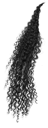 IMG 7952.png