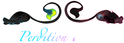 IMG 0479.png