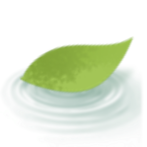 IMG 2946.png