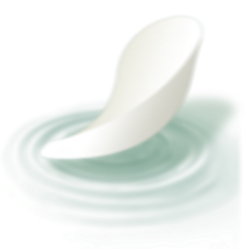 IMG 2942.png