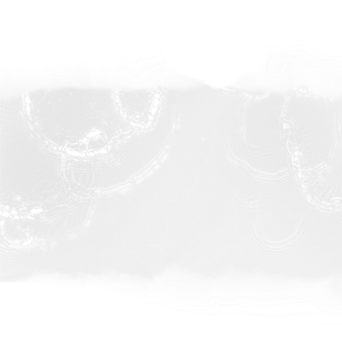 IMG 2950.png