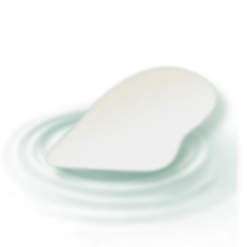 IMG 2941.png