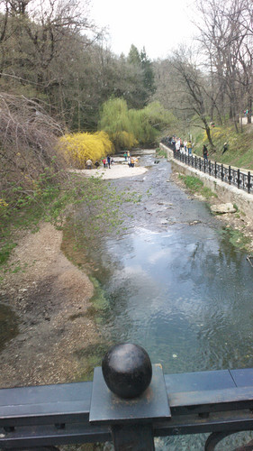 IMG 20150501 133045.jpg