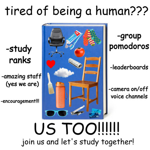 thestudynoungadvertiemesetmsetemte.jpg