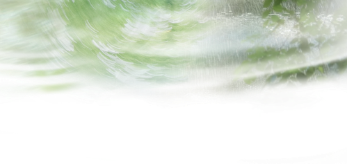 IMG 2954.png