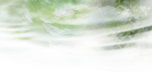 IMG 2951.png