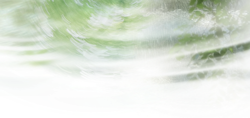 IMG 2952.png