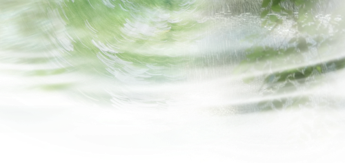 IMG 2953.png