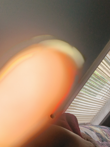 temp.png