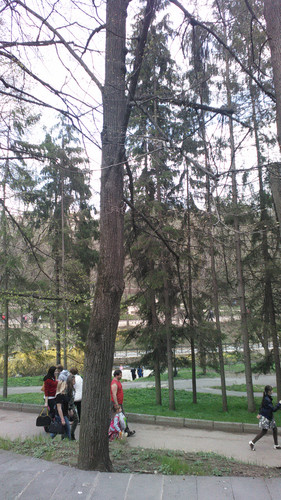 IMG 20150501 132649.jpg