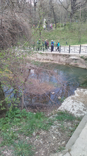 IMG 20150501 133030.jpg