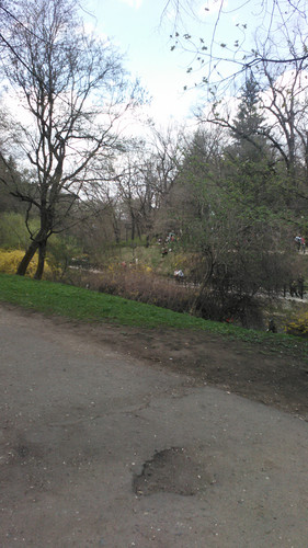 IMG 20150501 133020.jpg