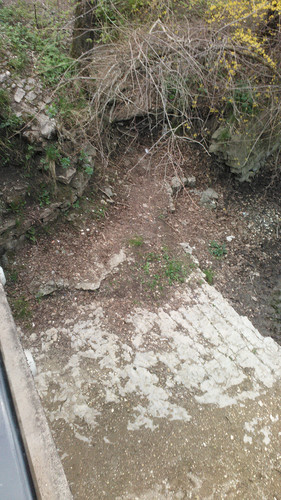 IMG 20150501 133050.jpg