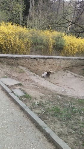 IMG 20150501 133024.jpg