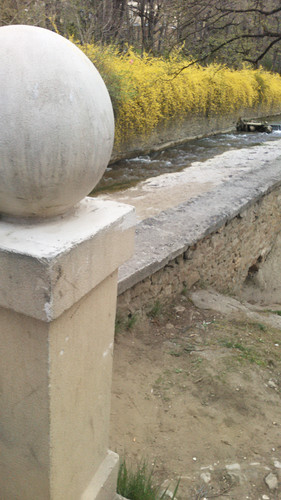 IMG 20150501 133033.jpg