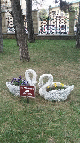 IMG 20150501 131808.jpg