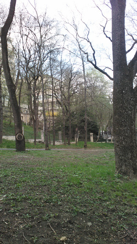 IMG 20150501 132641.jpg