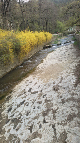 IMG 20150501 133040.jpg