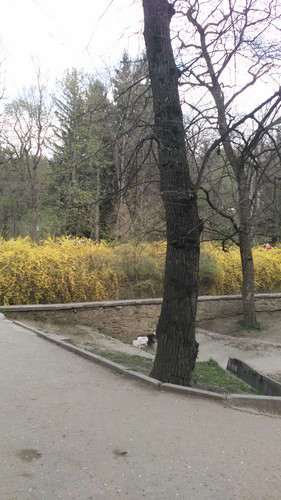 IMG 20150501 133017.jpg