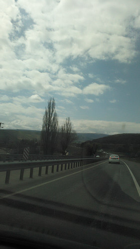 IMG 20150501 102403 2.jpg