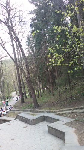 IMG 20150501 132645.jpg