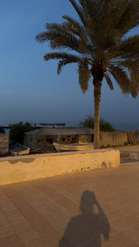 IMG 7266.jpg